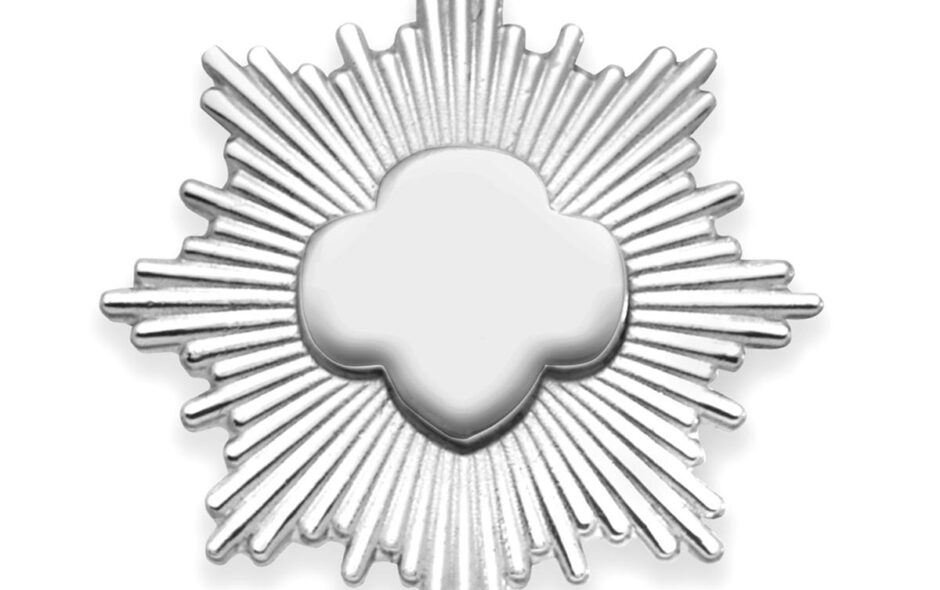 The Girl Scout Silver Award